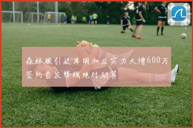 森林狼引进库明加后实力大增600万签约首发锋线绝对划算