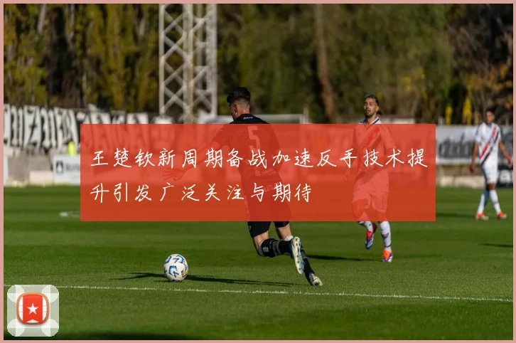 王楚钦新周期备战加速反手技术提升引发广泛关注与期待
