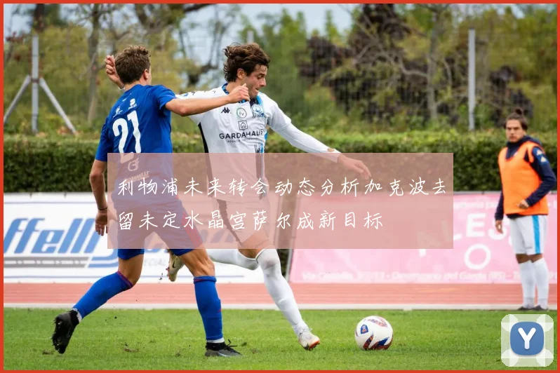 利物浦未来转会动态分析加克波去留未定水晶宫萨尔成新目标